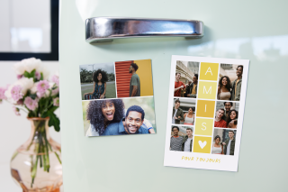 Magnet amis