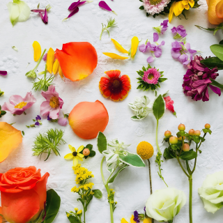 ambiance mariage colorée été
