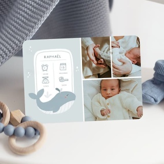 /faire-part-naissance/baleine-certificat