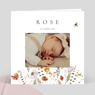 /faire-part-naissance-fille/fleurs-des-champs