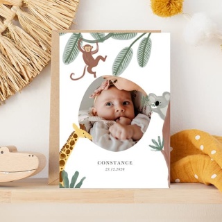 /faire-part-naissance/amis-de-la-jungle