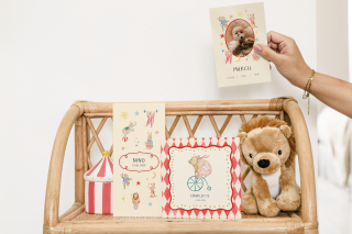 Illustrations inspirées de l’univers du cirque, avec animaux, étoiles et éléments graphiques colorés