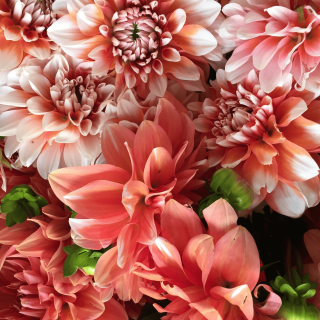 ambiance mariage champetre blush terracota