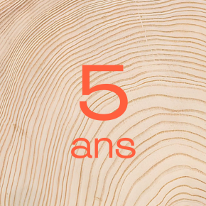 Noces de bois