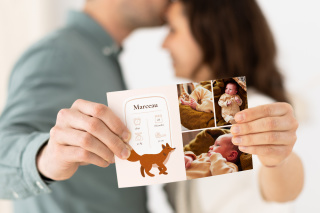 Annoncez   
sa naissance