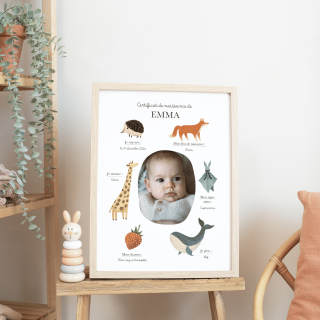 Affiche certificat naissance