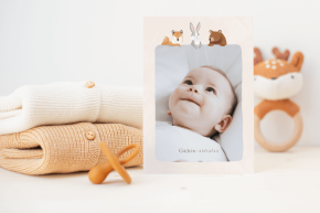 Echantillon faire-part naissance