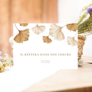 /faire-part-deces/fleur-beige