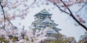 Organiser un mariage japonais &nbsp;