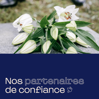 Nos partenaires de confiance