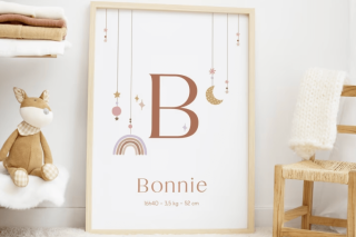 Affiche naissance 