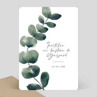 /faire-part-bapteme/-branche-deucalyptus