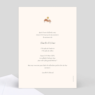 verso faire-part naissance jumeaux jungle