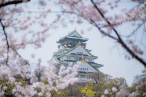 Organiser un mariage japonais