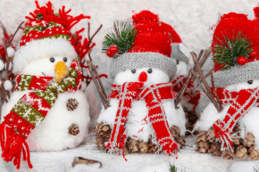 Nos conseils pour la période des fêtes de Noël