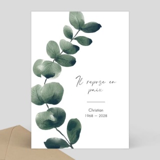 /faire-part-deces/-branche-deucalyptus