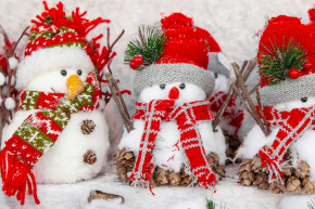 Nos conseils pour la période des fêtes de Noël