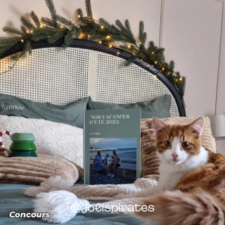 Album photo vert posé sur un lit à côté d'un chat