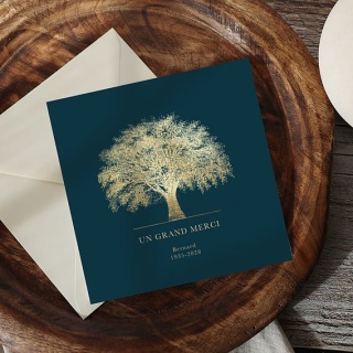 /cartes-flash/condoleance/remerciement-deces.html